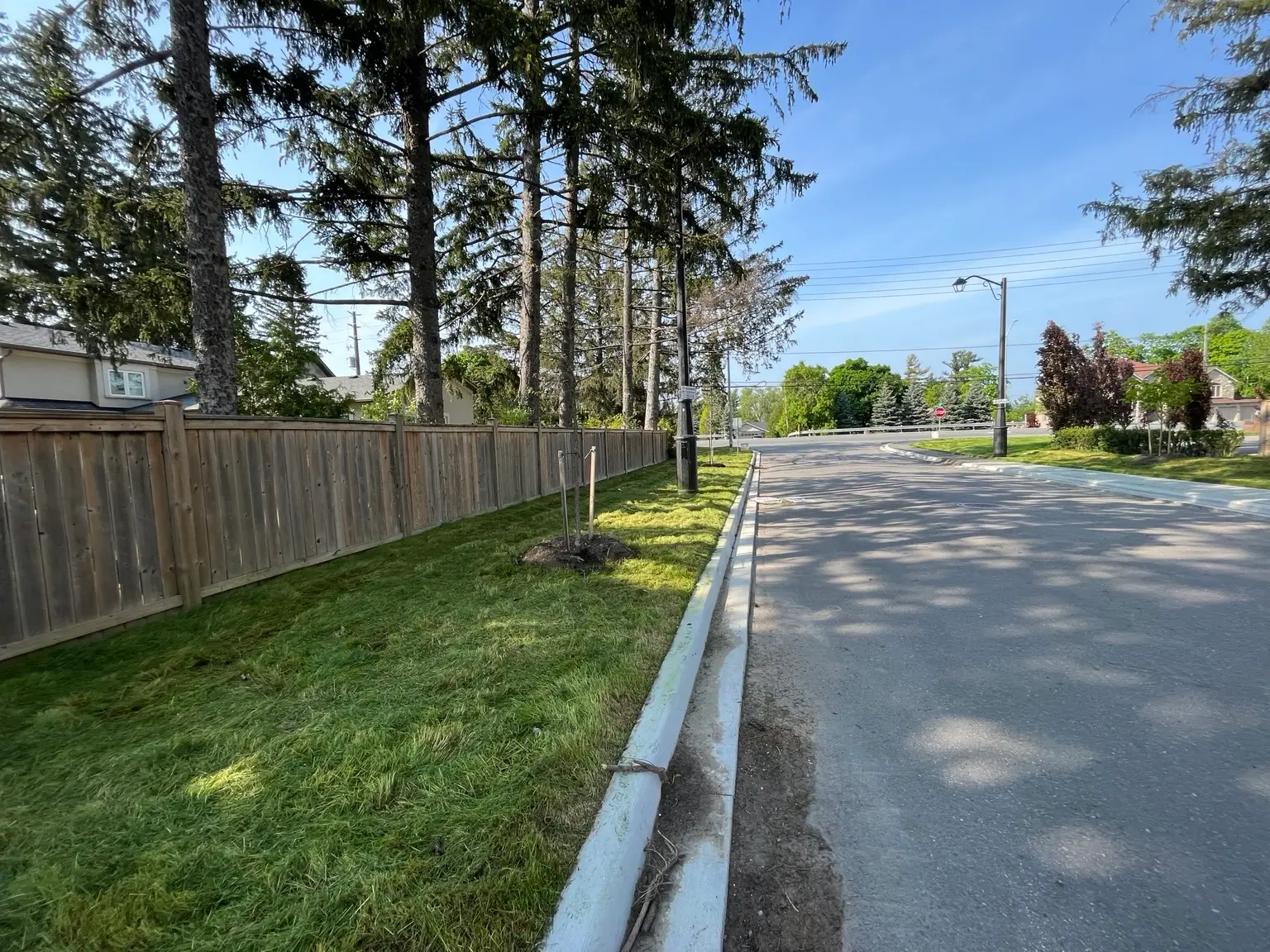 Roadside after All Seasons lawn maintenance in Vaughan