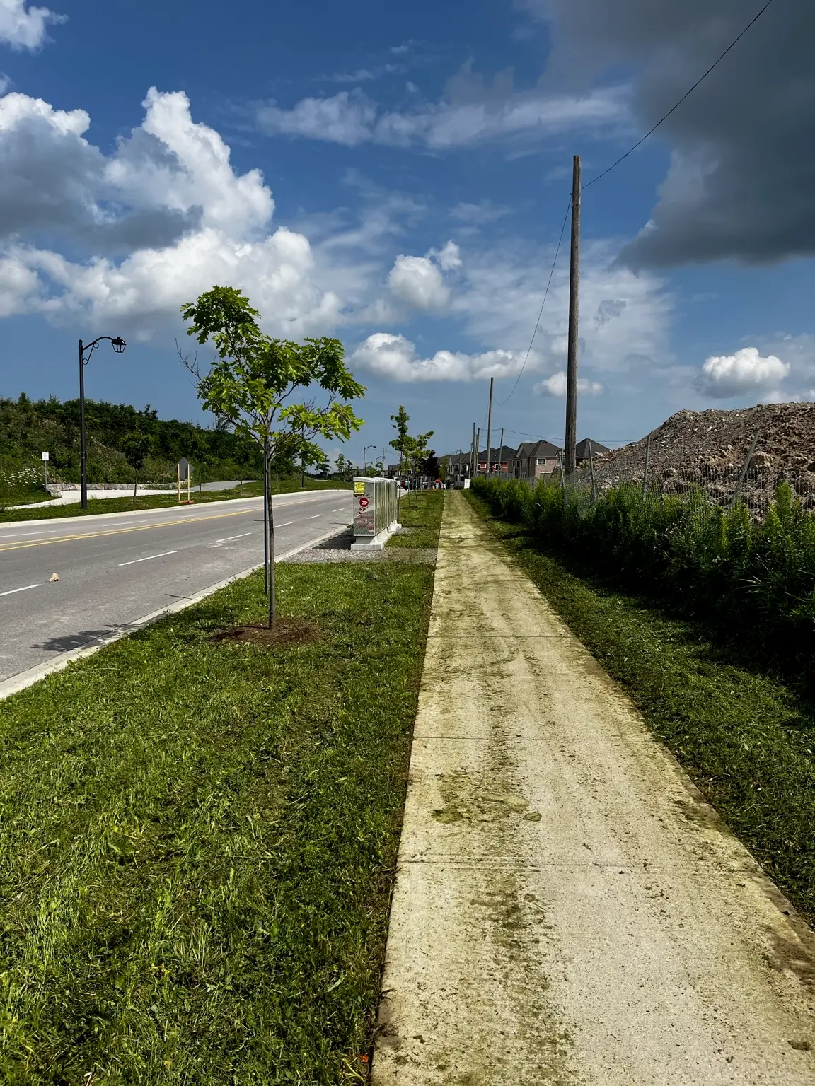 Sidewalk and lawn after cleanup in Vaughan