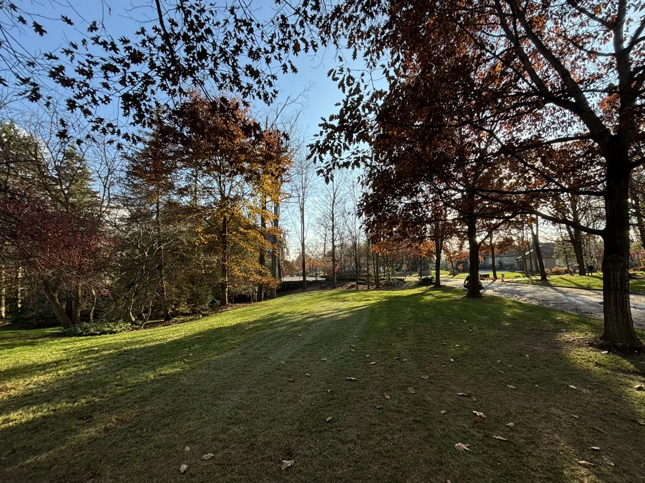 Maintained lawn during autumn