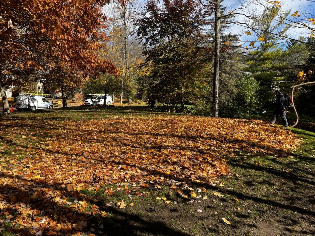 Crew clearing autumn leaves from a residential property